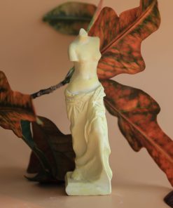 قالب سیلیکون زن بی سر