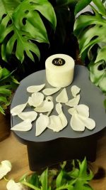 شمع استوانه‌ای قطر 7 سانت 6