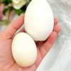قالب سیلیکون تخم‌مرغ ساده سایز