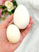 قالب سیلیکون تخم‌مرغ ساده سایز