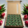 شمع وارمر 100 عددی سبز زمردی
