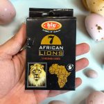 عود آبشاری liones